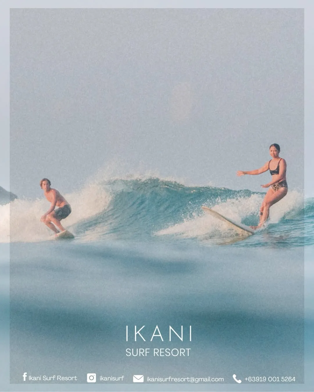 Surfboard rental & beginner lessons